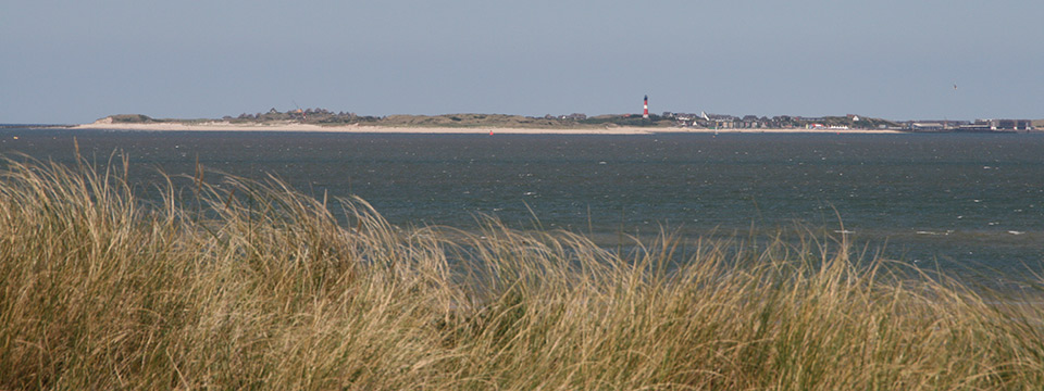 Areal West