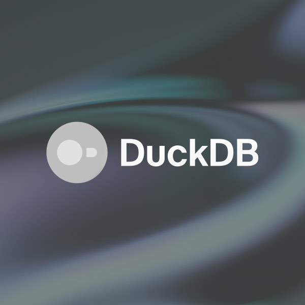 DuckDB Logo in weiß auf einem Hintergrund
